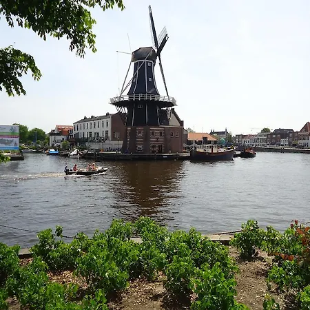 Luna Haarlem